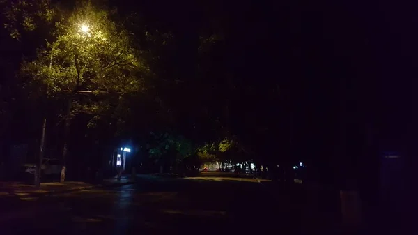 Vista Nocturna Del Parque Ciudad Por Noche — Foto de Stock
