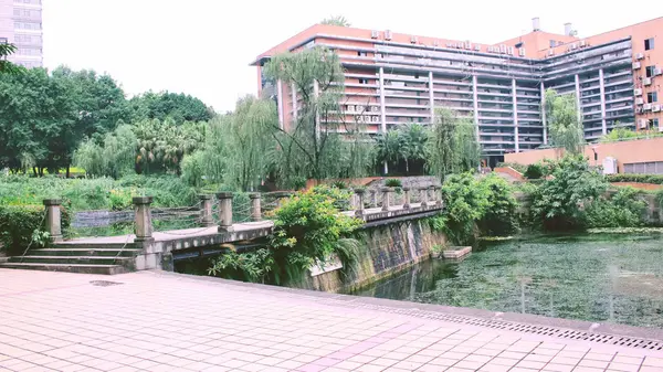 Hermosa Vista Del Parque Ciudad — Foto de Stock