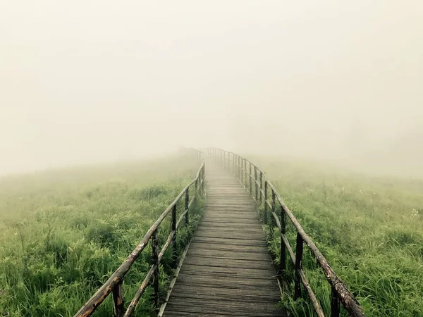 Nebbia Nella Foresta — Foto Stock