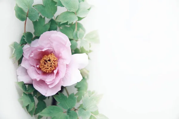 Hermoso Ramo Flores — Foto de Stock