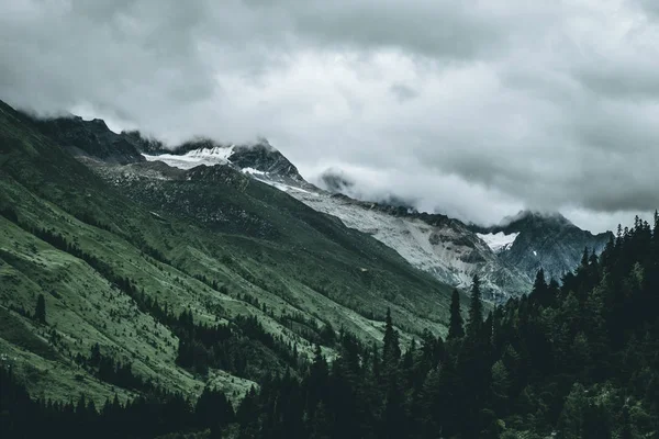 Berglandschaft Den Bergen — Stockfoto