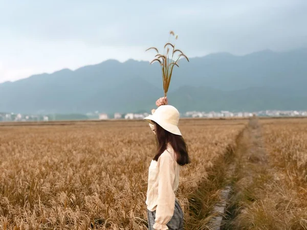 Young Woman Wheat Field — Stock Photo, Image