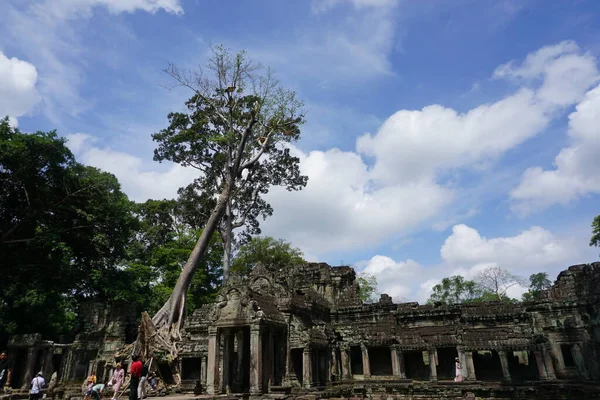 Angkor Wat Siem Cosechar Cambodia — Foto de Stock