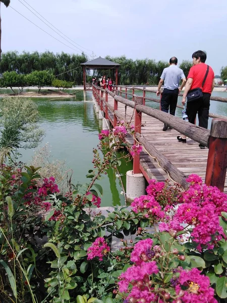 Jardin Chinois Dans Ville Thaïlande — Photo