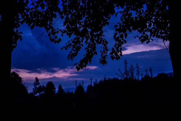 Silueta Árbol Con Cielo Azul — Foto de Stock