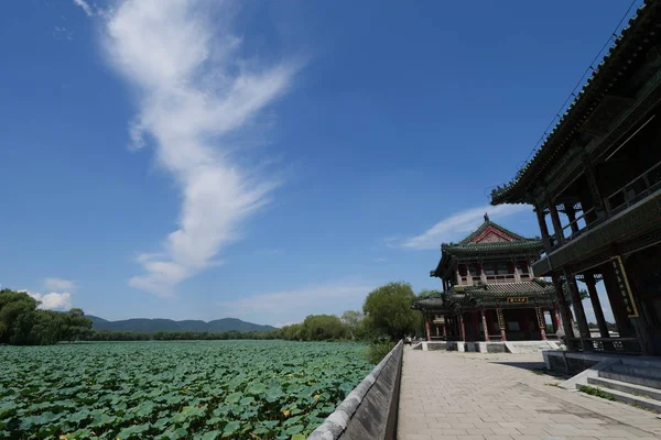 Hermosa Arquitectura China Seúl Corea Del Sur — Foto de Stock