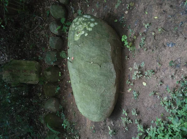 Una Gran Piedra Forma Tocón — Foto de Stock