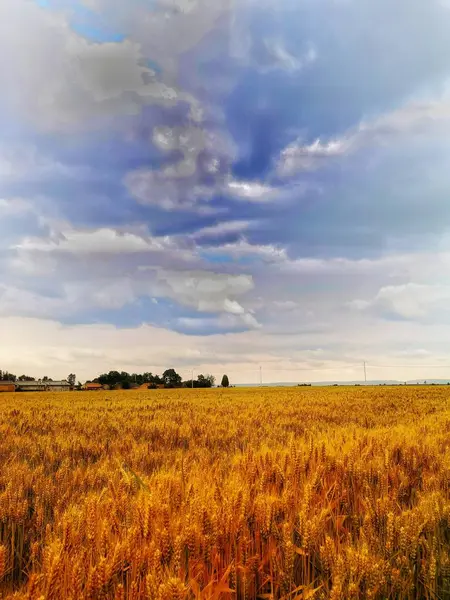 Beautiful View Nature Scene — Stock Photo, Image