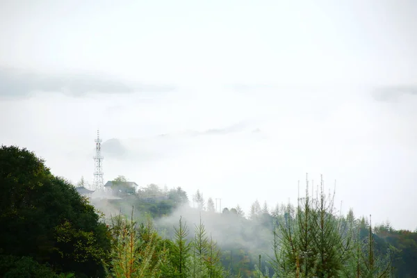 Vista Montaña Niebla — Foto de Stock