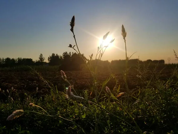 Malerischer Blick Auf Den Schönen Sonnenuntergang — Stockfoto