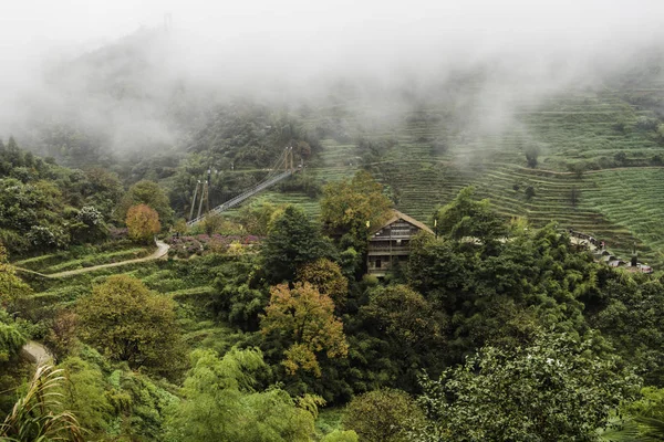 Paisaje Montaña Las Montañas Los Cárpatos — Foto de Stock