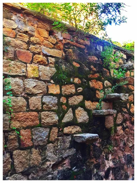 old stone wall with green plants