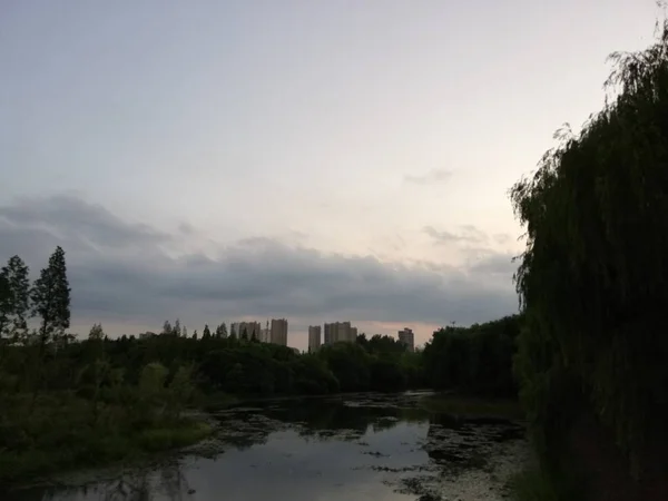 Hermoso Paisaje Con Árboles Nubes — Foto de Stock