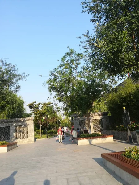 Hombre Está Caminando Parque — Foto de Stock