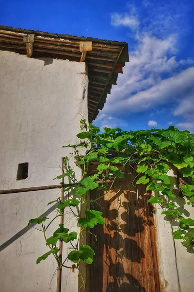 Antigua Casa Madera Con Plantas Verdes — Foto de Stock