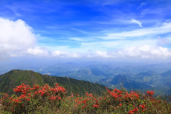 Krásná Krajina Horou Horách — Stock fotografie
