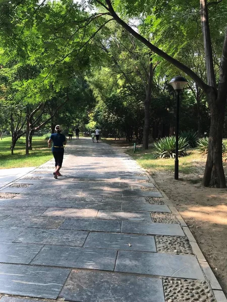 Mujer Caminando Parque — Foto de Stock