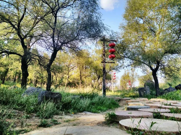 Carretera Parque — Foto de Stock