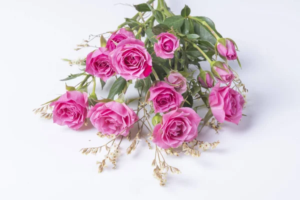Ramo Rosas Rosadas Sobre Fondo Blanco — Foto de Stock