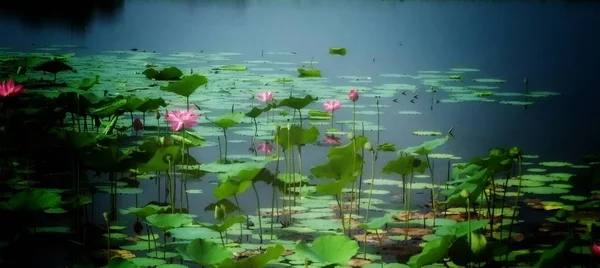 beautiful landscape with a pond and a flower