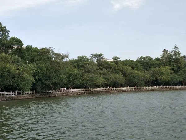 Hermoso Lago Verano — Foto de Stock