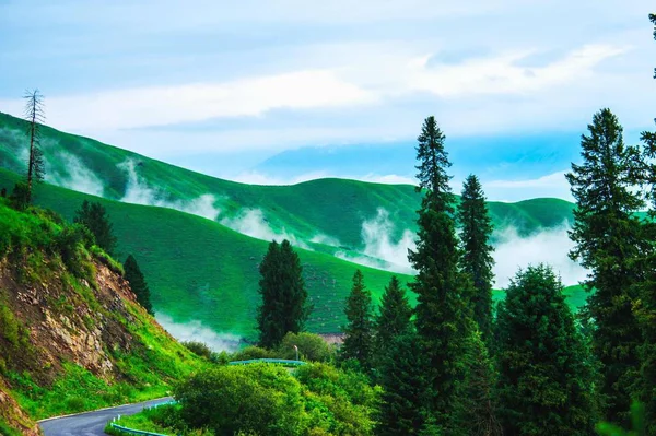 Paisaje Montaña Las Montañas Los Cárpatos — Foto de Stock