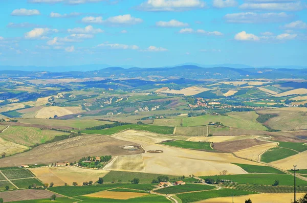 Vista Los Verdes Campos Colinas Toscana Italia — Foto de Stock