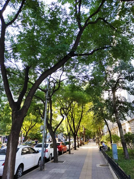 Hermoso Parque Ciudad — Foto de Stock