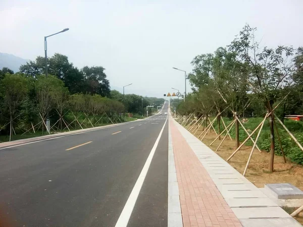 Camino Bosque — Foto de Stock