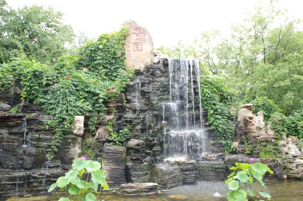 waterfall in forest, nature and river flow