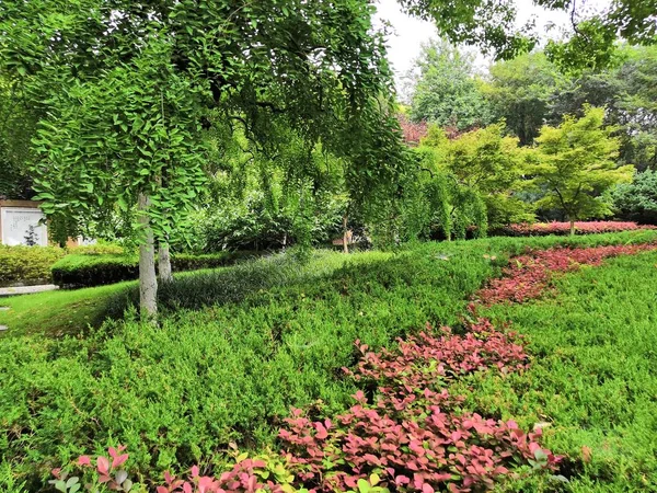 Hermoso Jardín Parque —  Fotos de Stock