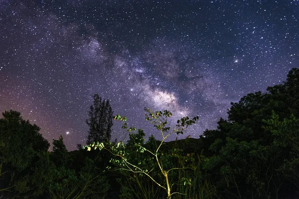 Astrología Cielo Nocturno Con Estrellas Astronomía — Foto de Stock