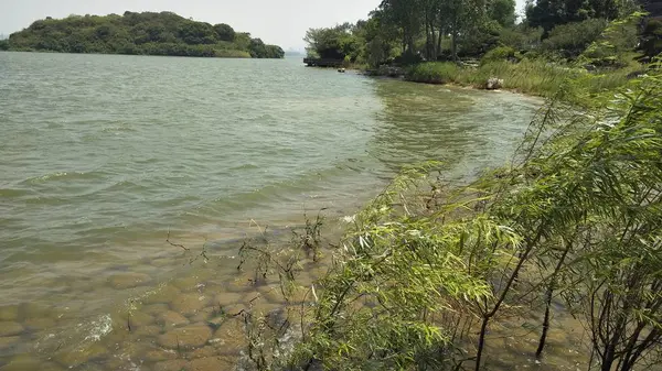 Vista Del Río Las Montañas — Foto de Stock