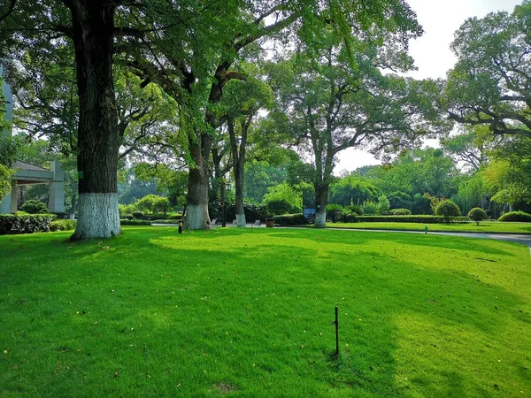 Vista Pittoresca Del Parco Della Città — Foto Stock