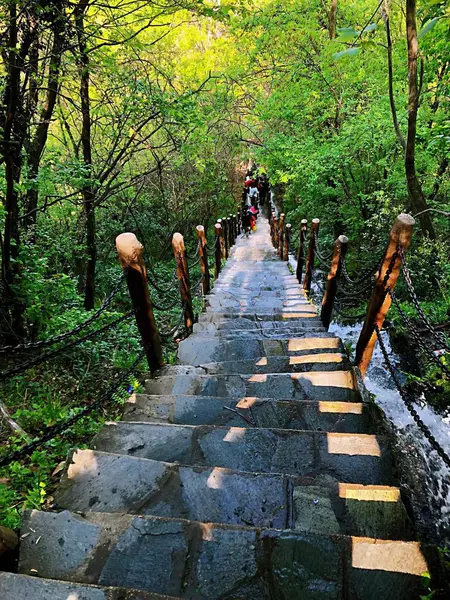 Hermoso Paisaje Puente Madera Bosque — Foto de Stock