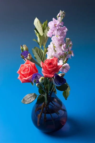 Hermoso Ramo Rosas Rosadas Sobre Fondo Azul — Foto de Stock