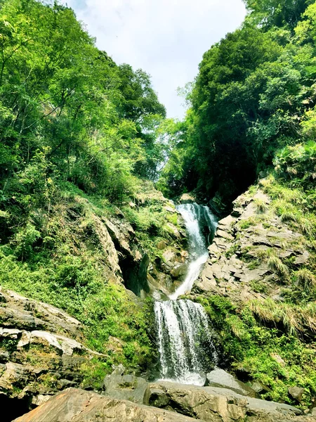 Cascada Bosque — Foto de Stock