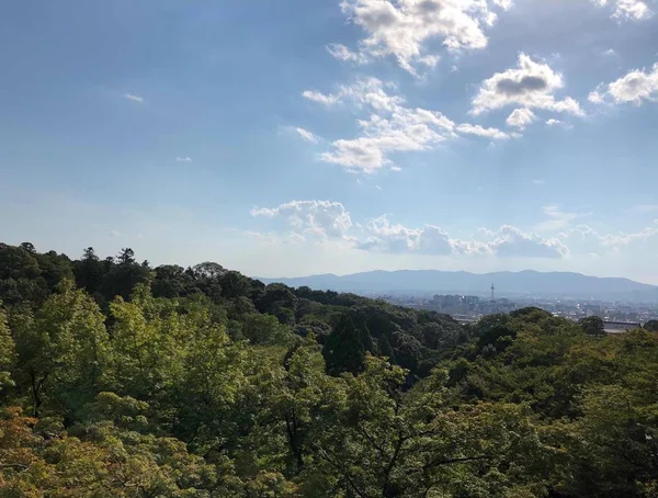 Vista Del Paisaje Montaña — Foto de Stock