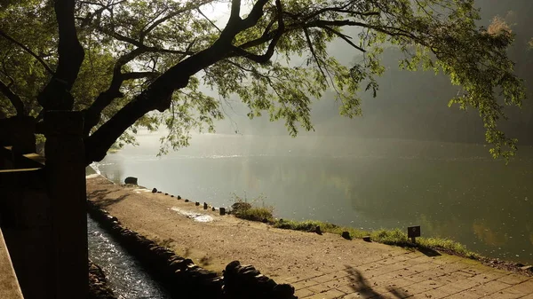 Hermoso Paisaje Con Río Árbol — Foto de Stock