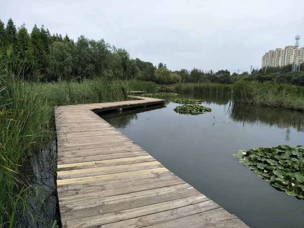 Puente Madera Lago — Foto de Stock