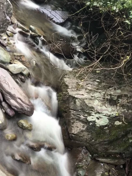 Cascada Bosque — Foto de Stock