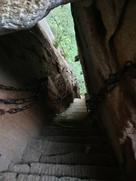 Una Vista Caballo Túnel — Foto de Stock