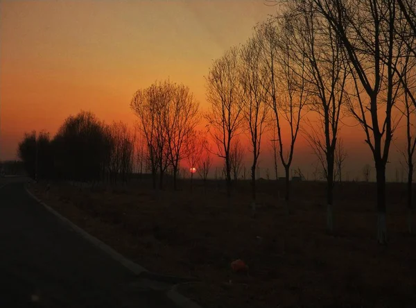 Hermoso Atardecer Bosque — Foto de Stock