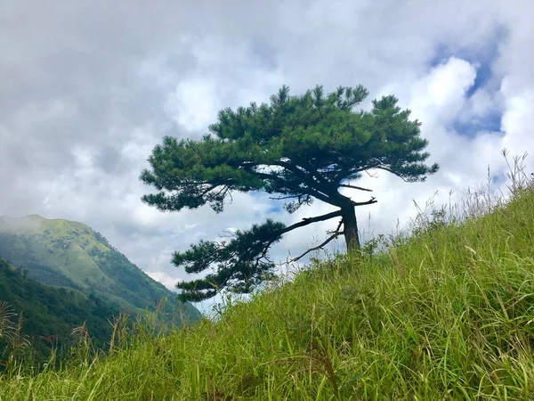 stock image mountain landscape with green grass and clouds