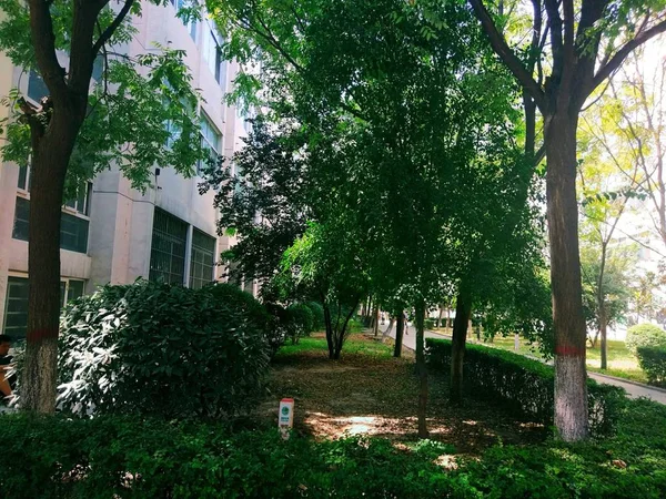 Parque Ciudad Por Mañana — Foto de Stock