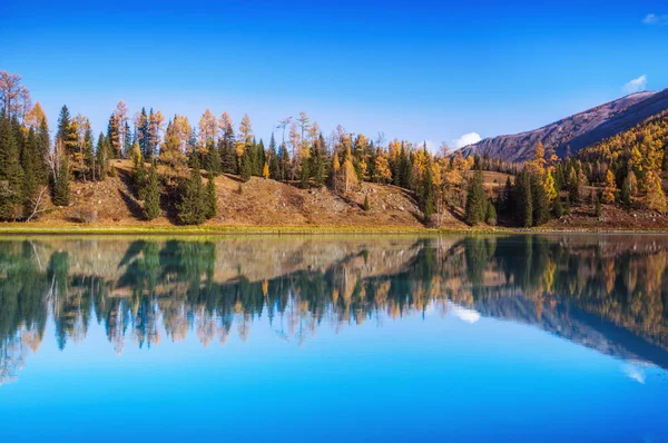 Beau Lac Dans Forêt Automne — Photo