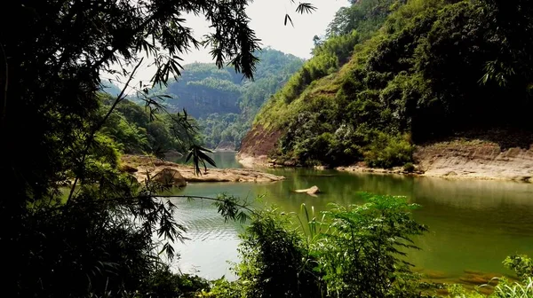 Hermoso Paisaje Tropical Con Árboles Hierba Verde — Foto de Stock