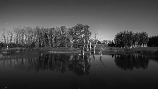 Hermoso Paisaje Con Árbol Reflejo Los Árboles Fondo — Foto de Stock