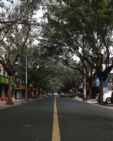 Vista Calle Ciudad — Foto de Stock