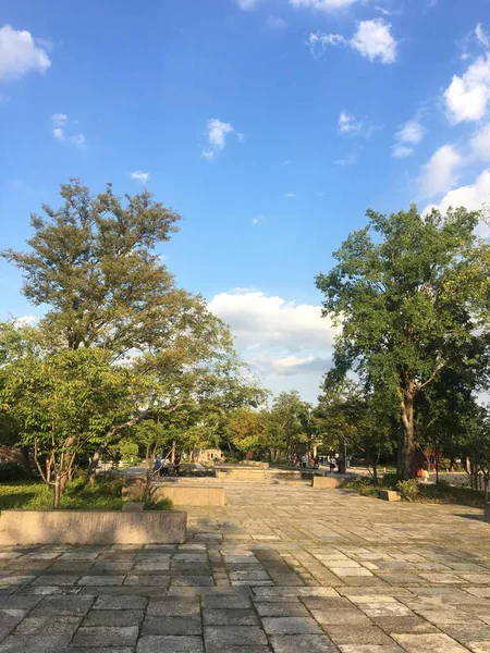 Hermosa Vista Del Parque — Foto de Stock